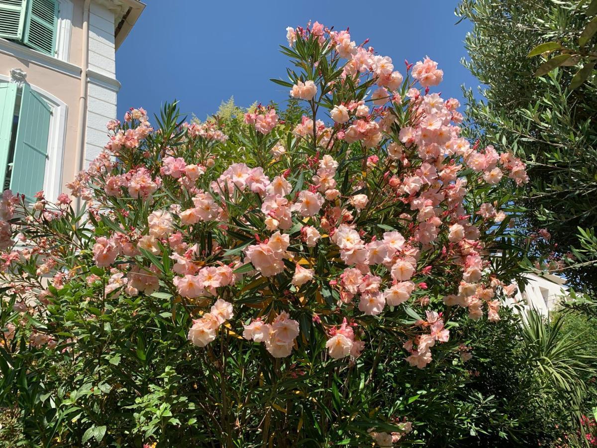Domaine De L'Aufrene Bed & Breakfast Hyères Екстериор снимка