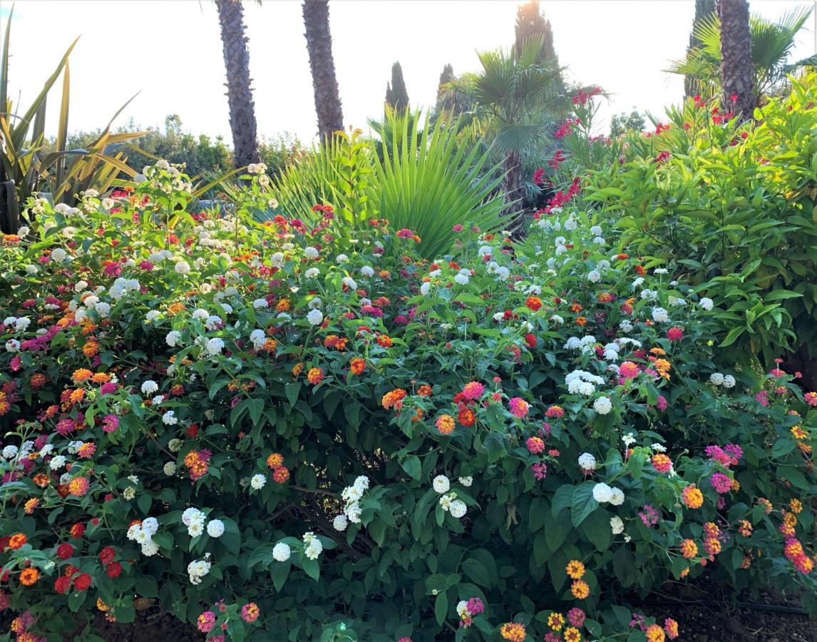 Domaine De L'Aufrene Bed & Breakfast Hyères Екстериор снимка