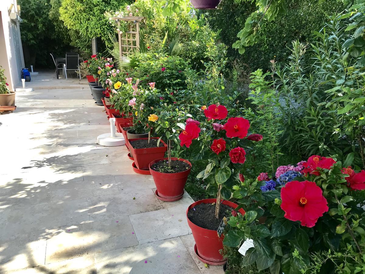 Domaine De L'Aufrene Bed & Breakfast Hyères Екстериор снимка